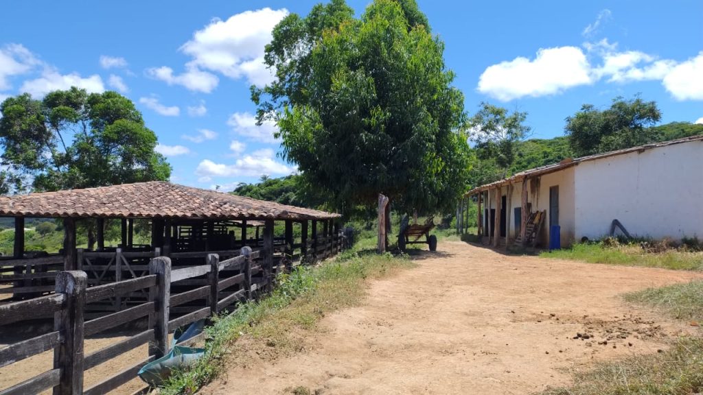 Fazenda de 12 alqueires a 16 km de poções Fazenda de 12 alqueires a 16 km de poções