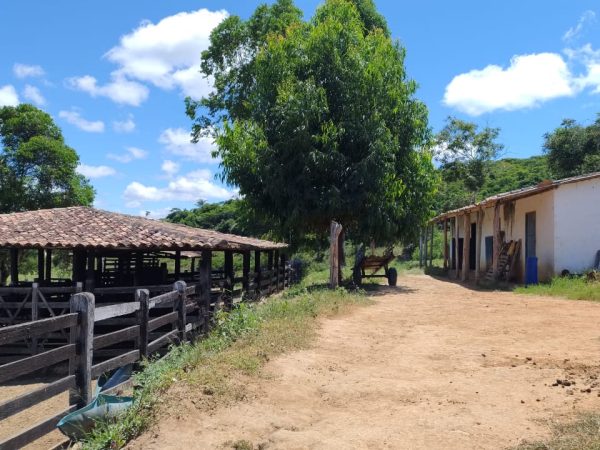 Fazenda de 12 alqueires a 16 km de poções