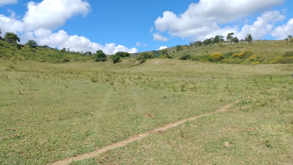 Fazenda de 12 alqueires a 16 km de poções Fazenda de 12 alqueires a 16 km de poções