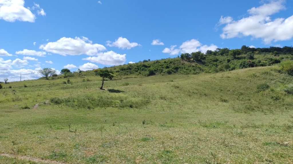 Fazenda de 12 alqueires a 16 km de poções Fazenda de 12 alqueires a 16 km de poções