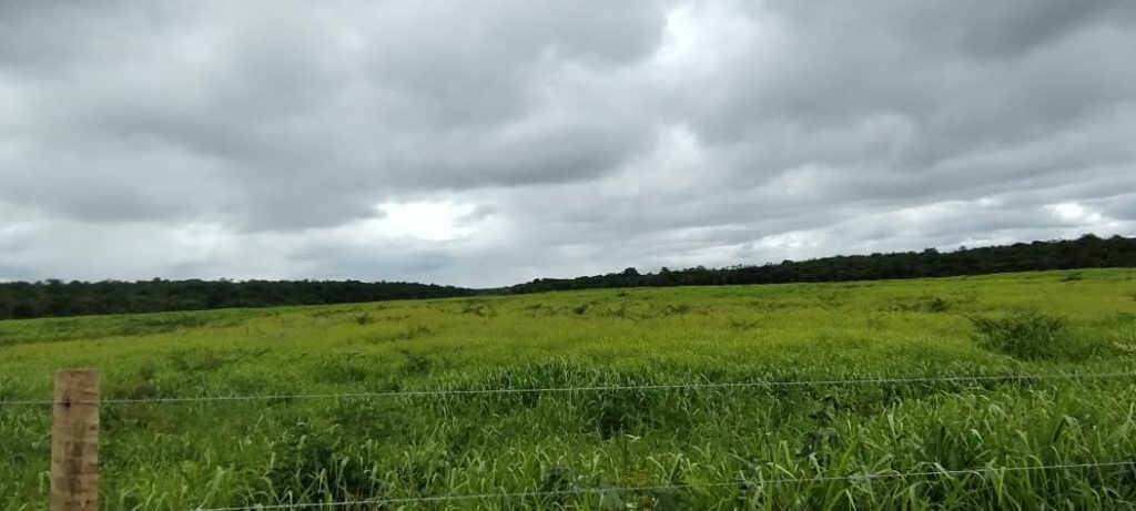 Fazenda de 12 alqueires a 16 km de poções Fazenda de 12 alqueires a 16 km de poções
