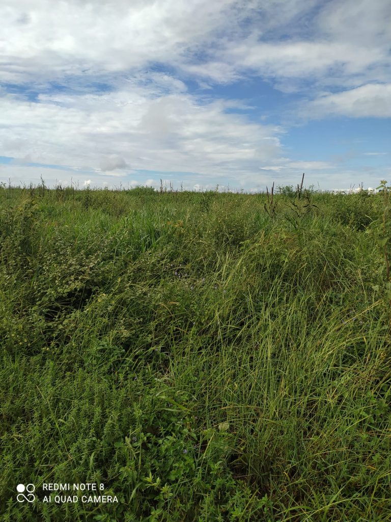 Fazenda à venda. Município de Brasilândia Mg Área 14.600 há. Fazenda à venda. Município de Brasilândia Mg Área 14.600 há.