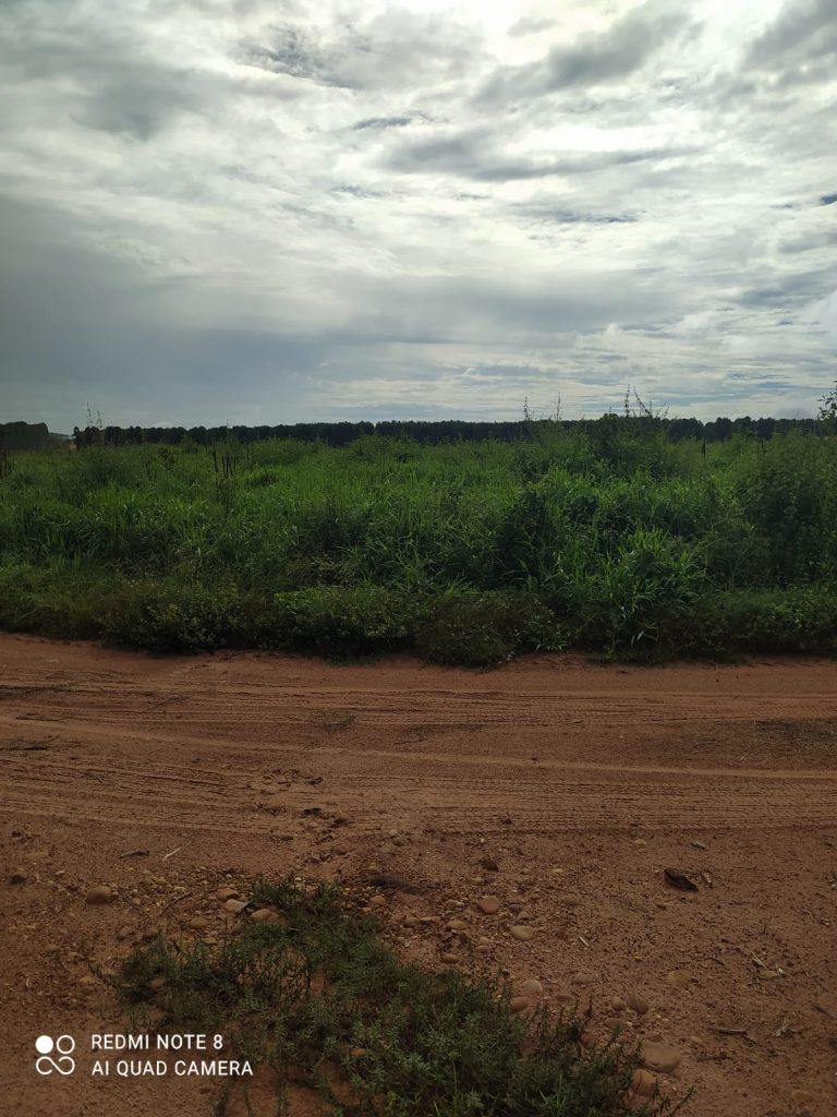 Fazenda à venda. Município de Brasilândia Mg Área 14.600 há. Fazenda à venda. Município de Brasilândia Mg Área 14.600 há.