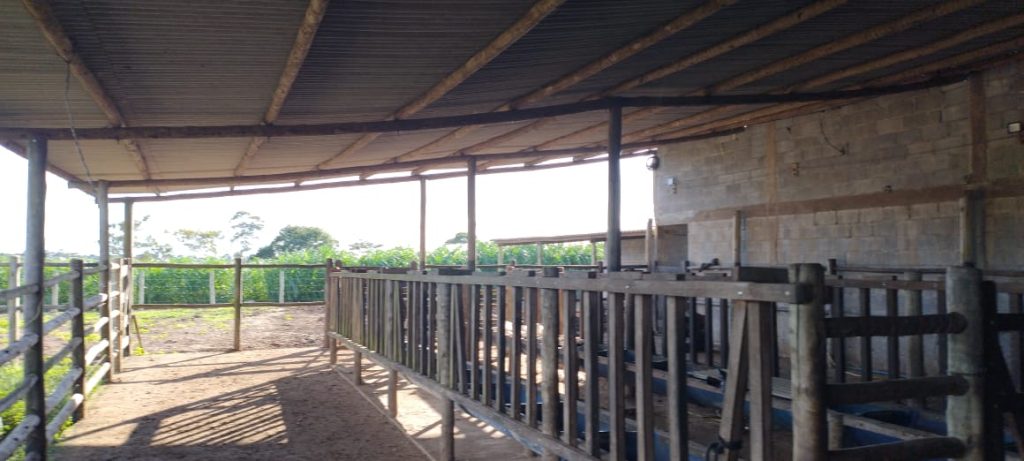 Fazendinha com 8 hectares, INFORMAÇÕES: 77 99124-3413