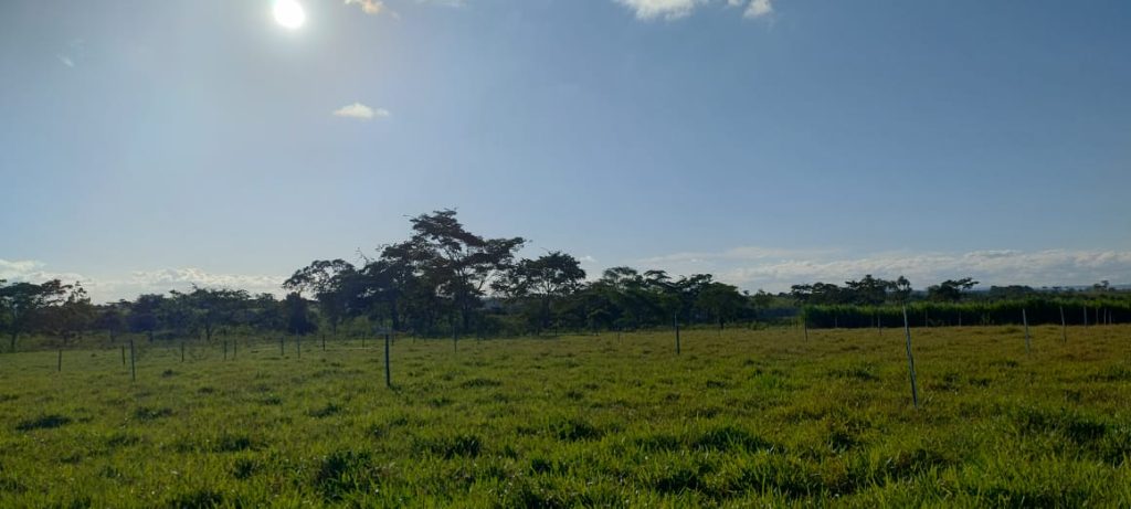 Fazendinha com 8 hectares, INFORMAÇÕES: 77 99124-3413