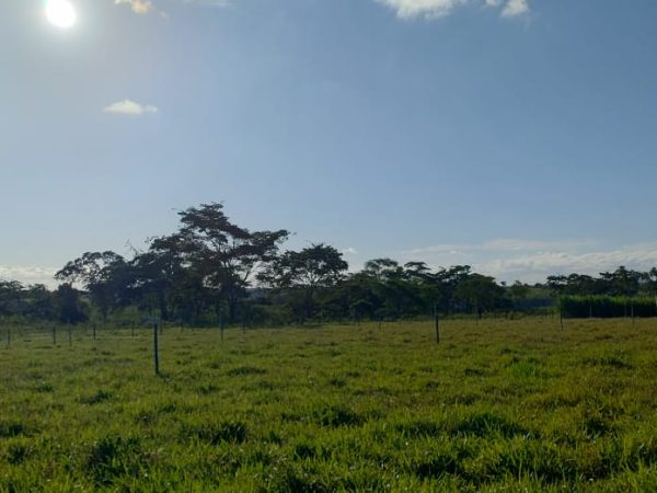 Fazendinha com 8 hectares, INFORMAÇÕES: 77 99124-3413