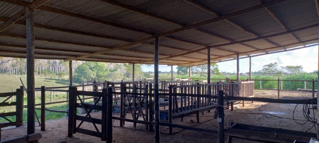 Fazendinha com 8 hectares, INFORMAÇÕES: 77 99124-3413