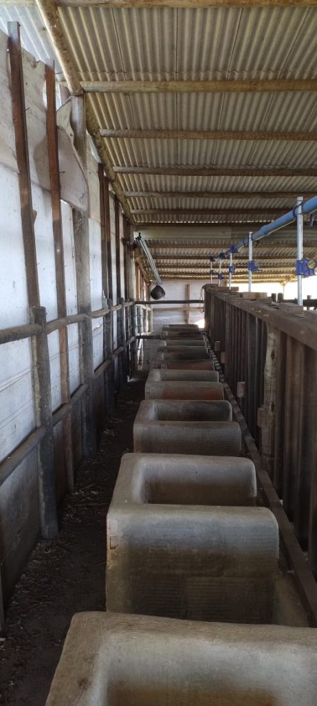 Fazendinha com 8 hectares, INFORMAÇÕES: 77 99124-3413