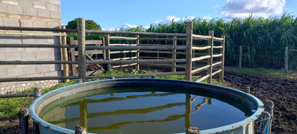 Fazendinha com 8 hectares, INFORMAÇÕES: 77 99124-3413