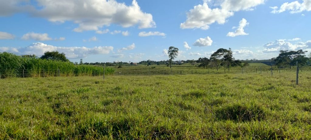 Fazendinha com 8 hectares, INFORMAÇÕES: 77 99124-3413