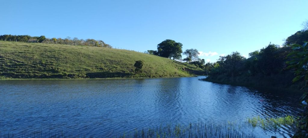Fazendinha com 8 hectares, INFORMAÇÕES: 77 99124-3413