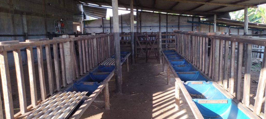 Fazendinha com 8 hectares, INFORMAÇÕES: 77 99124-3413