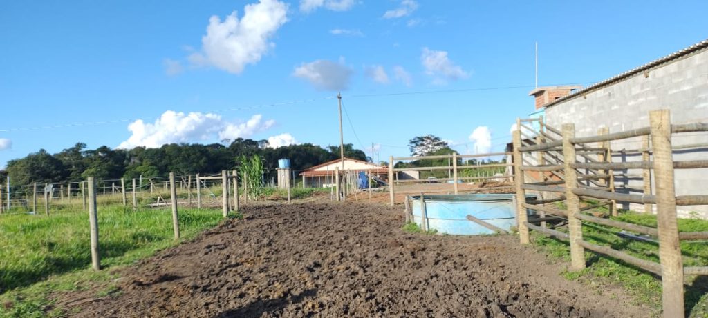 Fazendinha com 8 hectares, INFORMAÇÕES: 77 99124-3413