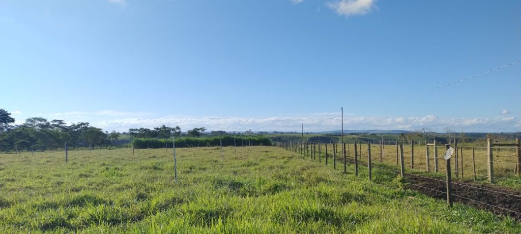 Fazendinha com 8 hectares, INFORMAÇÕES: 77 99124-3413