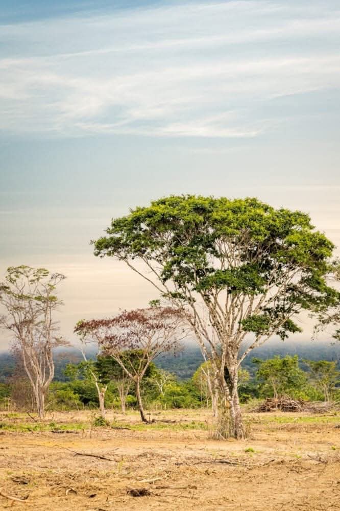 Chácaras Vida Nova, informações: 77 99124-3413