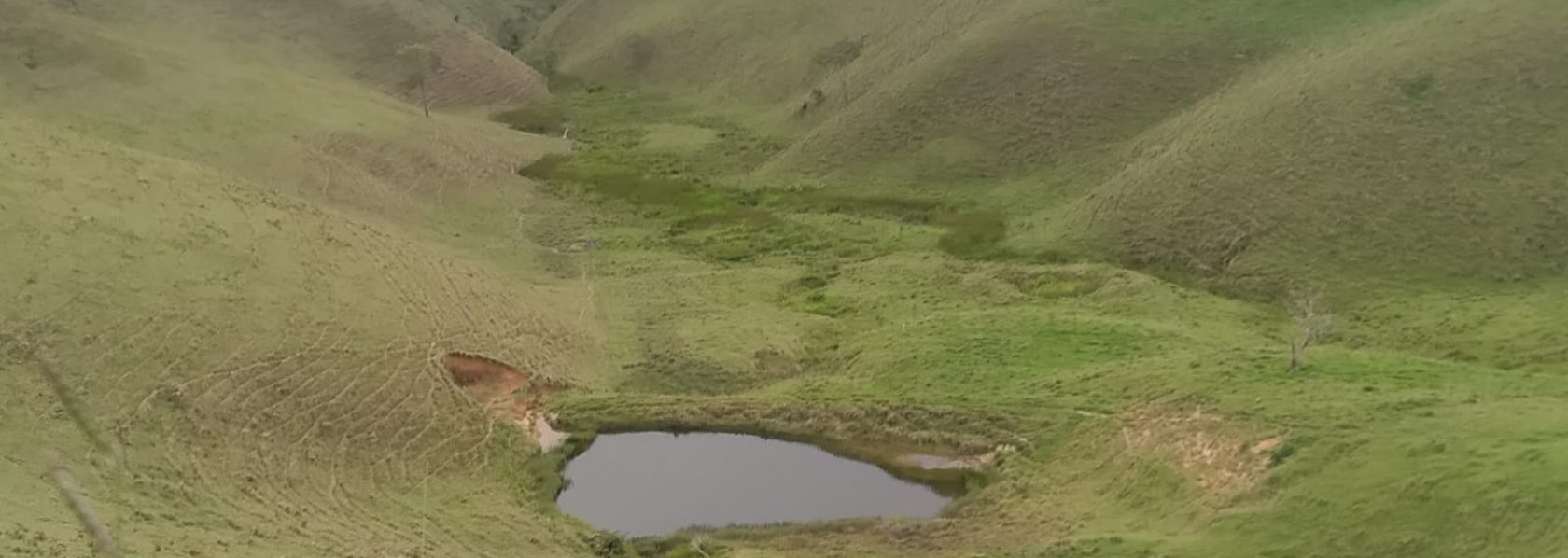 Fazenda de 7,5 alqueires