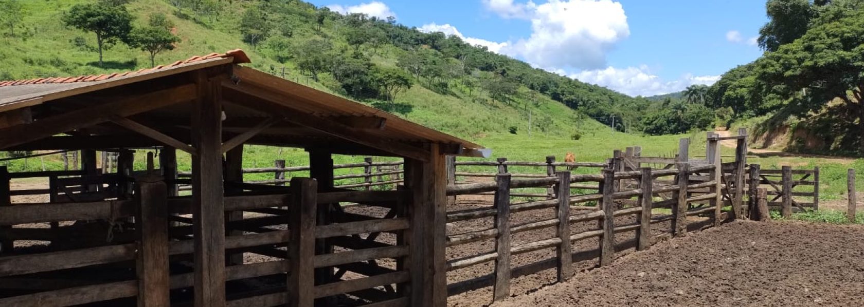 Fazenda saudade de 25 alqueires na região de pedra azul