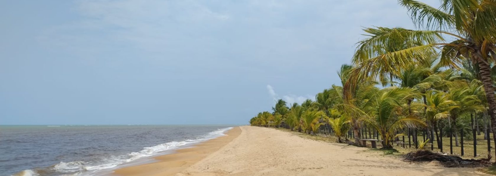 Fazenda de 40 alqueires a 7 km da praia e 22 km de Cabrália Porto seguro