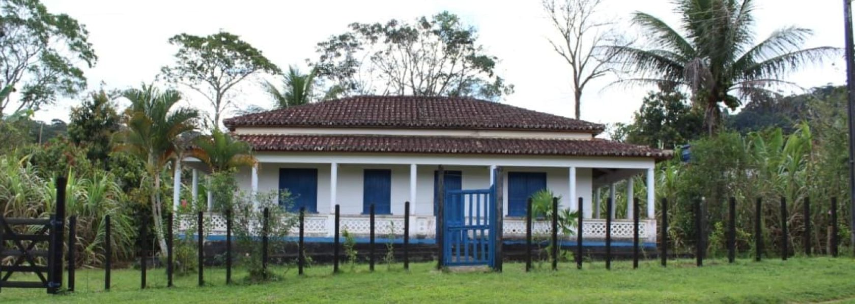 Fazenda de Cacau e pecuária São 205 hectares Na região de Uruçuca: informações: (77) 99124-3413 Rodrigo Patez