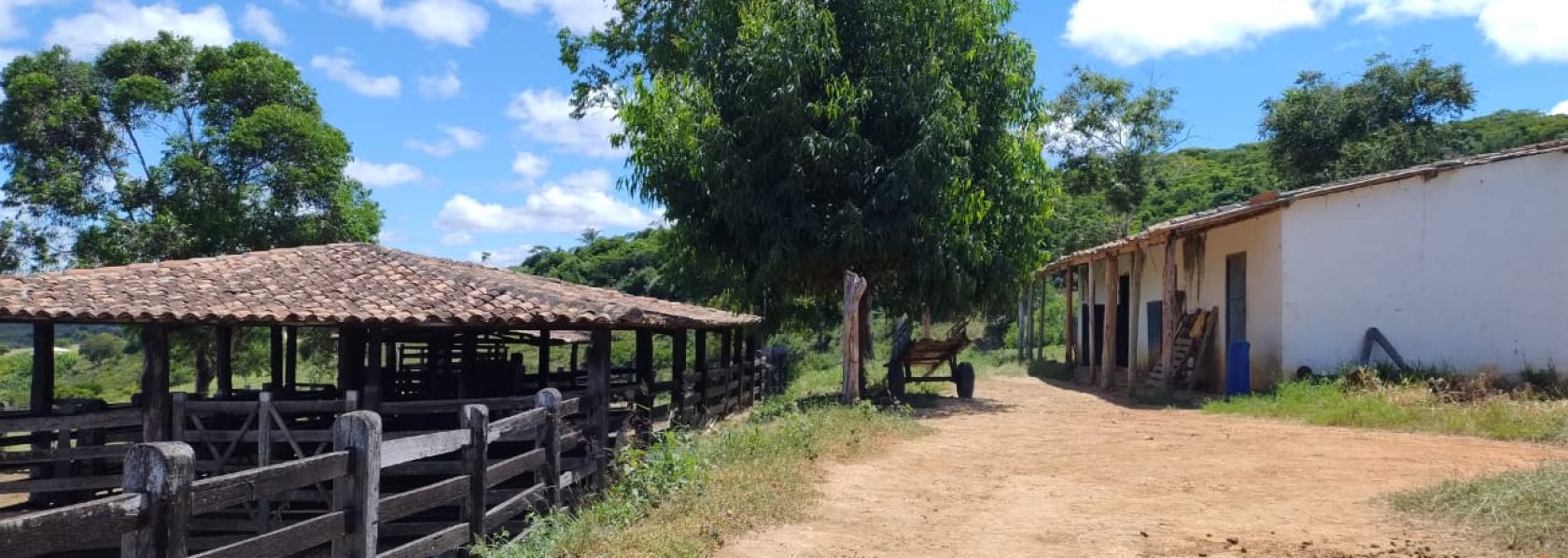 Fazenda de 12 alqueires a 16 km de poções