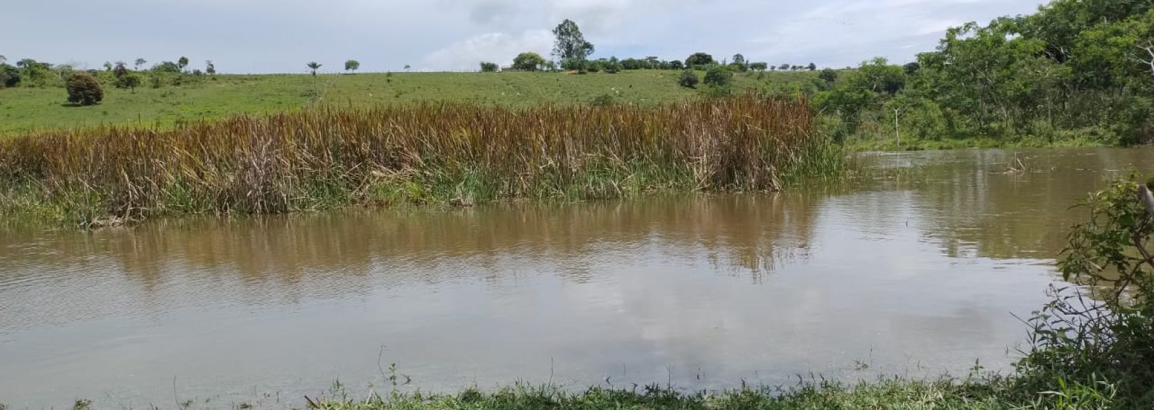 Mini fazendinha de 7 hectares na região de barra do choça Escriturada