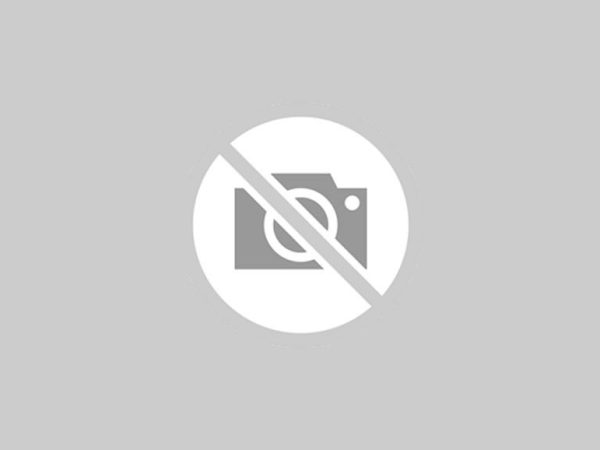 Sitio de 5.9 hectares na limeira